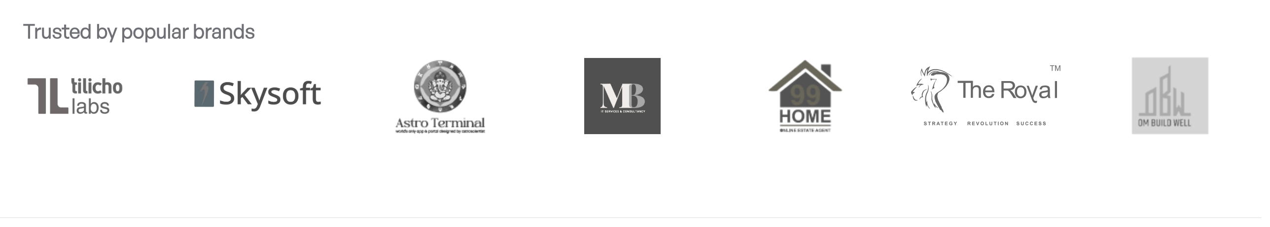 Trusted by popular brands - Tilicho Labs, Skysoft, Astro Terminal, MB, 99 HOME, The Royal, Om Buildwell